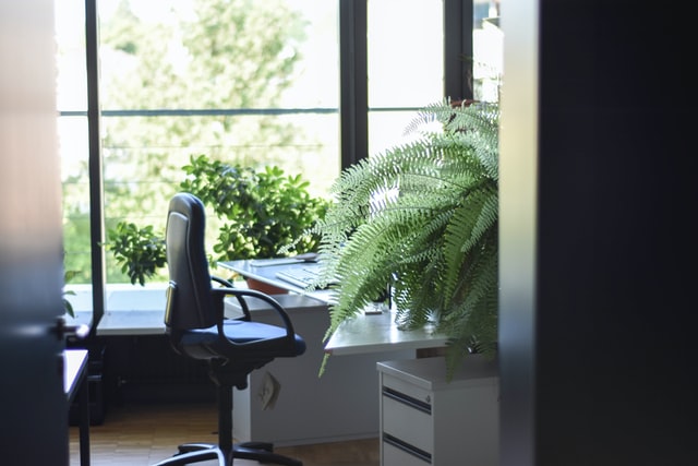 A peek into some of London’s most eco-friendly offices